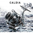 Серия катушек Daiwa 18 CALDIA LT